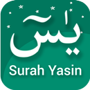 Surah Yaseen - Read Yasin Text APK