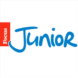 Focus Junior icône