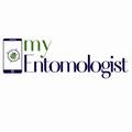 MyEntomologist