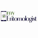 MyEntomologist