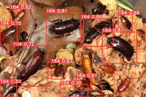 MyEntomologist screenshot 7