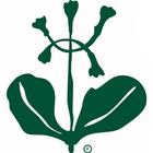 Il Cammino del Parco Nazionale del Cilento 아이콘