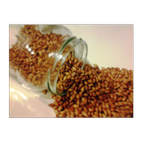 Malt Potential Extract Calc biểu tượng