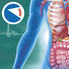 Icona Anatomia Super