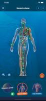 The Human Body 截图 3