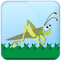 Crazy Cricket