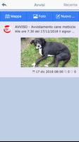 A Tutto Pets - ARGO Ladispoli Ekran Görüntüsü 1