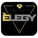 ELEGY UP APK