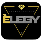 ELEGY UP icon
