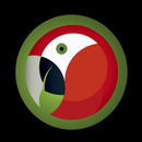 ITALY PARROTS CLUB APK