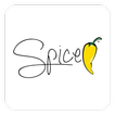 ikon Spice Electronics