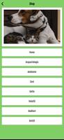 Pets House - Shop & Groom imagem de tela 2