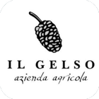 Il Gelso 아이콘