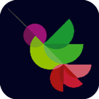 Jamaikapp icon