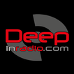 Deepinradio icon