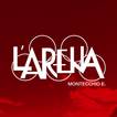AppArena