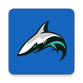 Shark Jaws