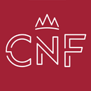 Chick N Fries APK