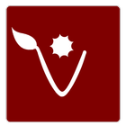 AlfaDPF icône