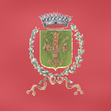 MyMarcianoDellaChiana icon