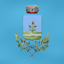 MyOlgiateolona aplikacja