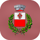 MyAnghiari APK