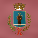 MyTerranuovaBracciolini APK