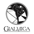 Gialmica Fit icône