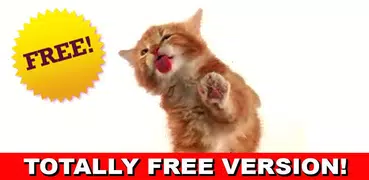 CAT LICKS LIVE WALLPAPER FREE