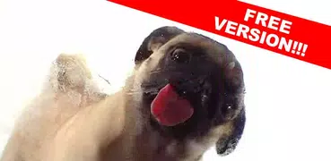 Dog Licker Live Wallpaper FREE