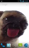 Dog Licker Live Wallpaper FREE gönderen