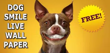 DOG SMILES LIVE WALLPAPER