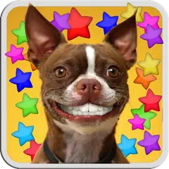 DOG SMILES LIVE WALLPAPER APK download