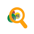 Verifica Vincite Lotto