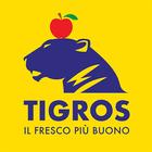 Tigros ikona