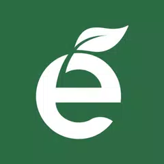 Enegan XAPK download