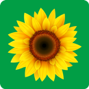 Agrigarden APK