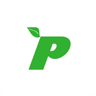 Pronto Market Co. 아이콘