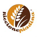 Riccione Piadina Shop APK