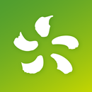 My Edison APK