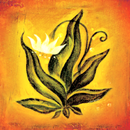 Le Carte di Don Miguel Ruiz APK