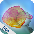 Fishbook Lite