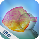 Fishbook Lite APK