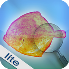 Fishbook Lite icône