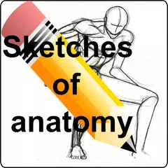 Sketches of anatomy APK download