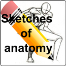 Sketches of anatomy APK