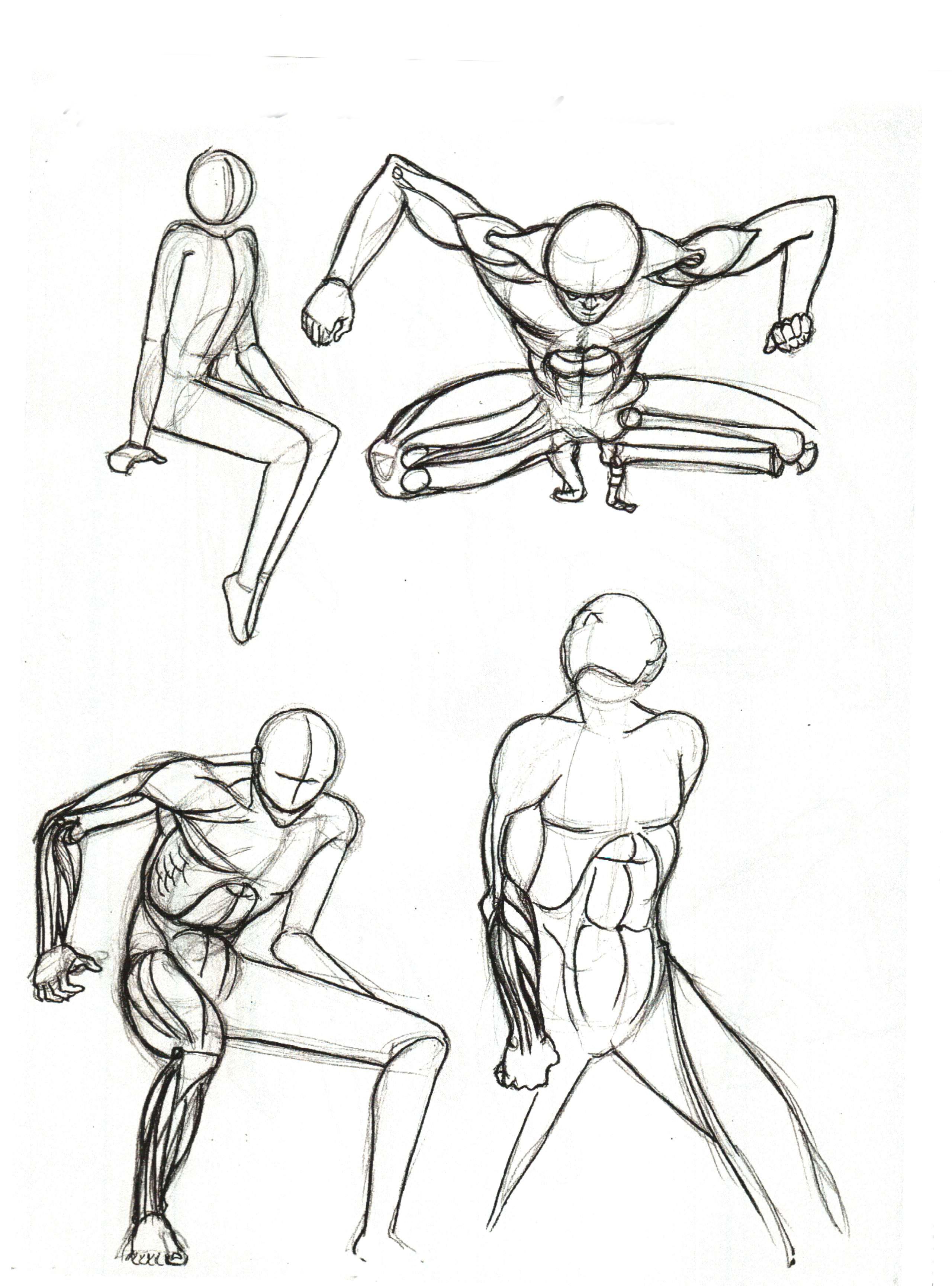 Sketches of anatomy for Android - APK Download