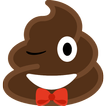 Poo tracker: kids and adults