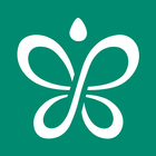 InnovApp Home 圖標