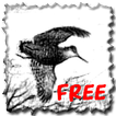 Giornale di caccia Free